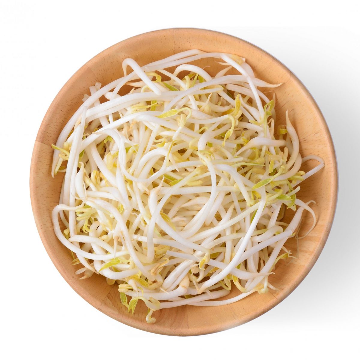 もやし」と「豆もやし」何が違うの？女性に嬉しい栄養たっぷり！ 豚肉 