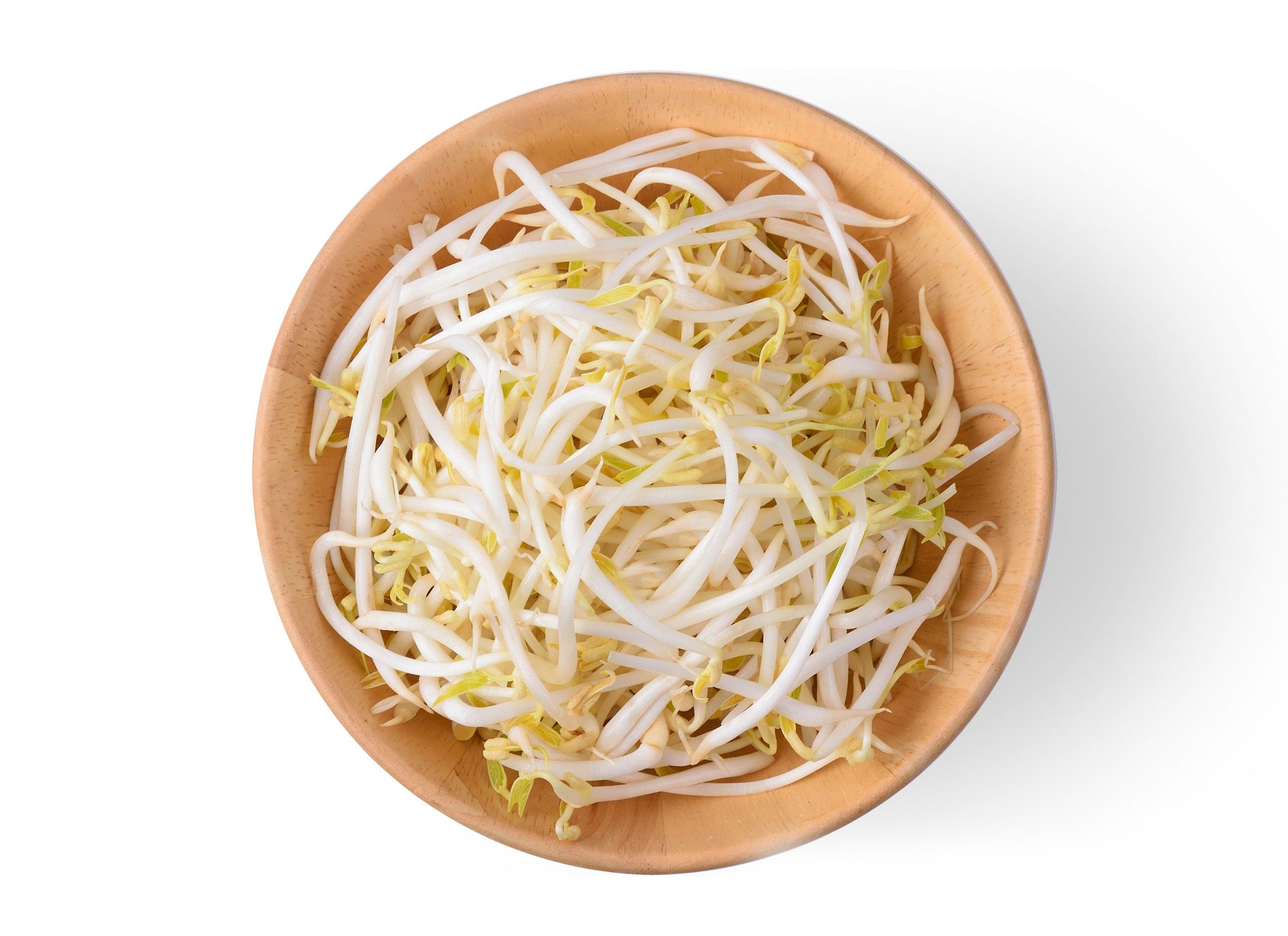 もやし」と「豆もやし」何が違うの？女性に嬉しい栄養たっぷり！ 豚肉